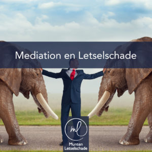 mediation web